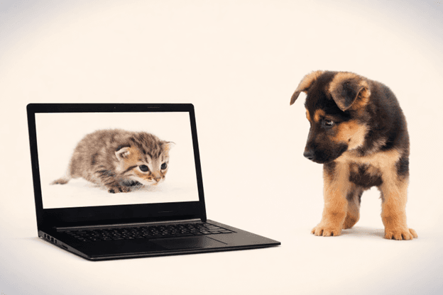 Top 5 Online Vet Alternatives (2026 Guide)