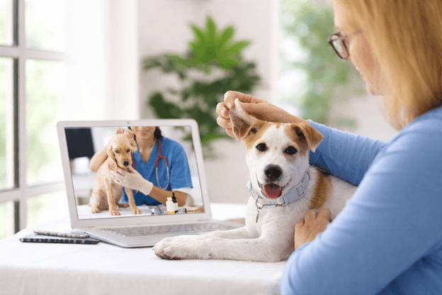 AI Vets vs Tele-Vets: Which Is Better for Pet Owners?