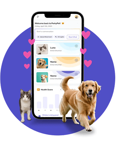 Pet App Interface